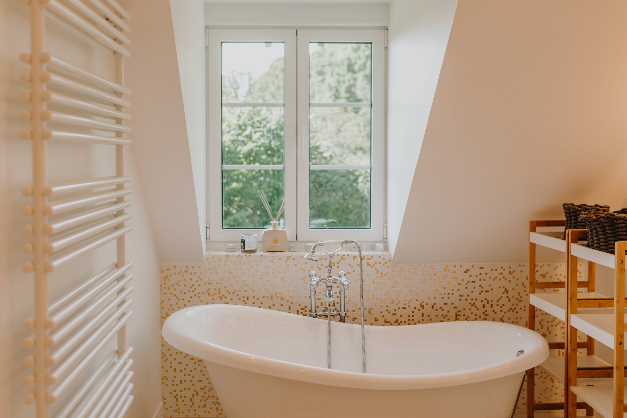 B12A4619